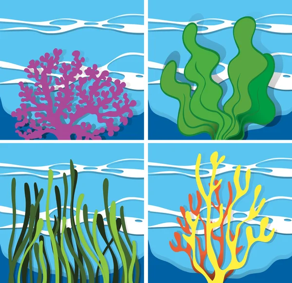 Arrecife de coral bajo el mar — Vector de stock