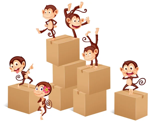 Monkeys playing with boxes — Stockvector