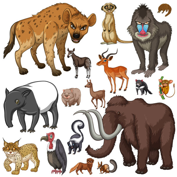 Различные виды диких животных
