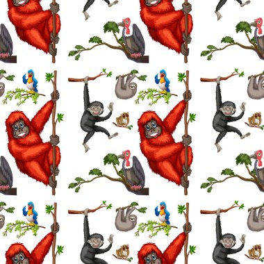 Sorunsuz maymunlar ve kuşlar