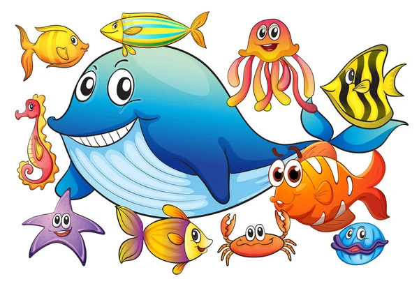 Different kind of sea animals — Stock Vector