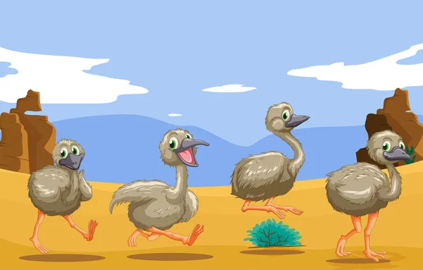 Pequeños avestruces corriendo en el desierto — Vector de stock