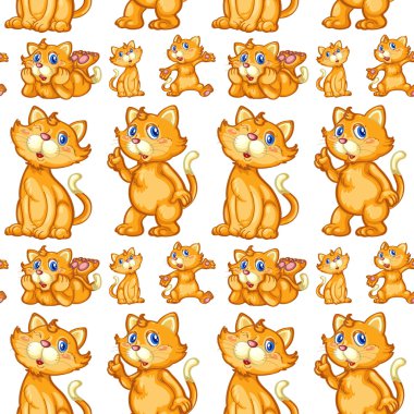 Farklı mesaj de sorunsuz sevimli kedi