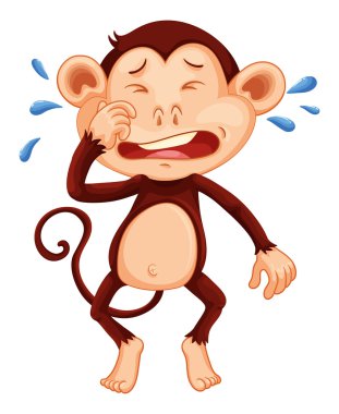 Gözyaşları ağlayan maymun