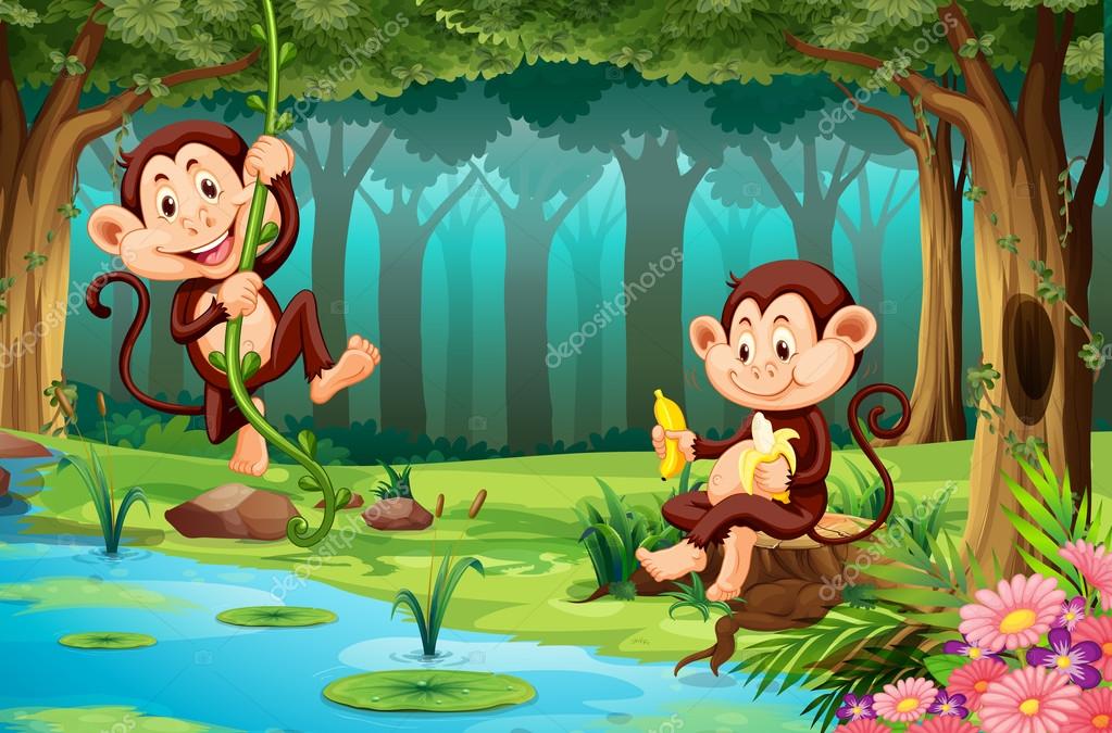 Monkeys living in the jungle Stock Vector Image by ©interactimages #95772066 Monkeys living in the jungle Stock Vector Image by ©interactimages #95772066