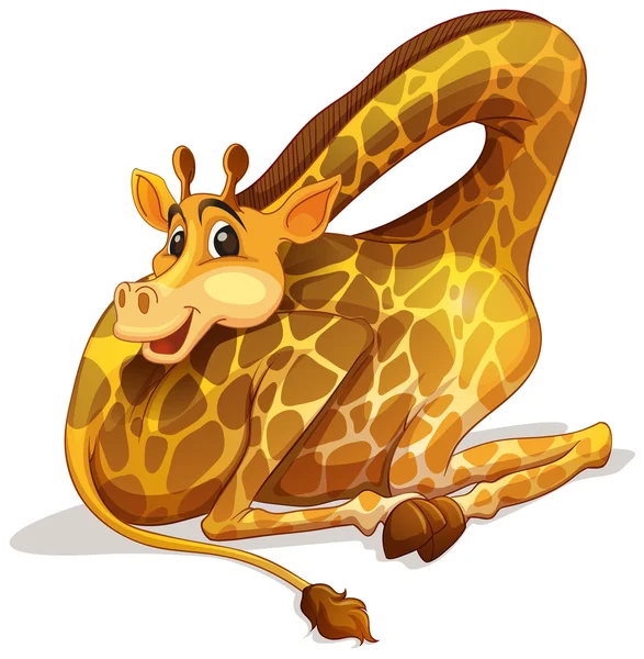 Cute giraffe folding its neck — Stock Vector