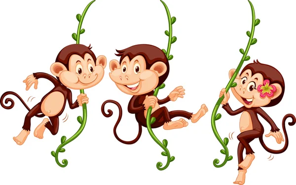 Three monkeys swinging on the vine — Stock Vector