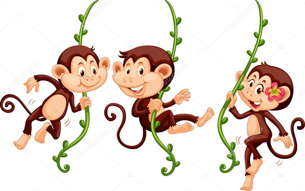 Three monkeys swinging on the vine
