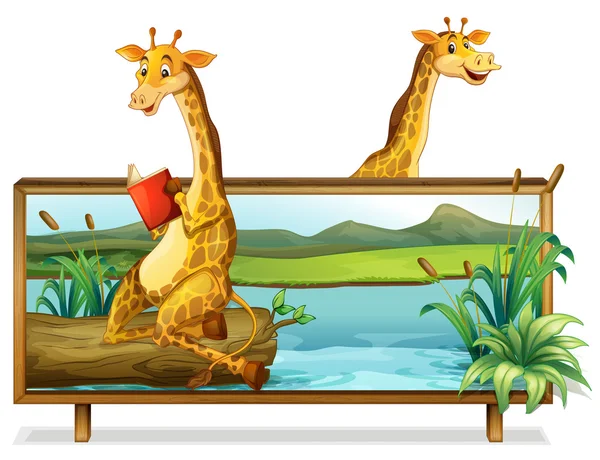 Twee giraffe door het meer — Stockvector