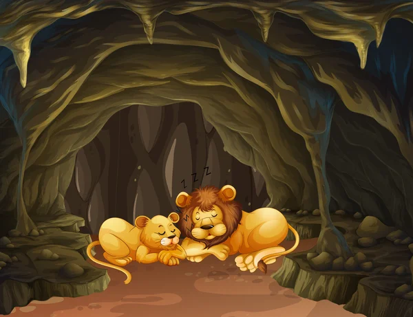 Mağarada uyuyan iki aslan — Stok Vektör