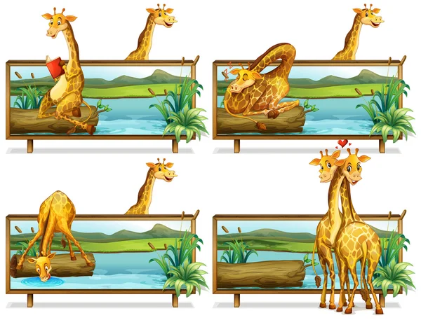 Girafes dans les cadres en bois — Image vectorielle