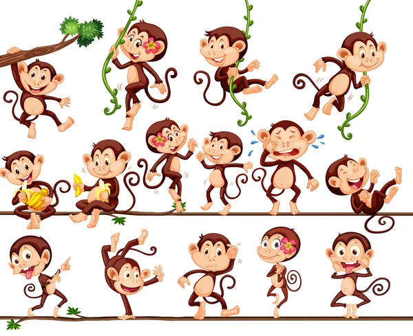 Macacos fazendo ações diferentes — Vetor de Stock
