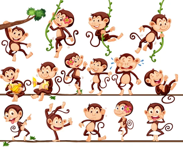 Monos haciendo diferentes acciones — Vector de stock