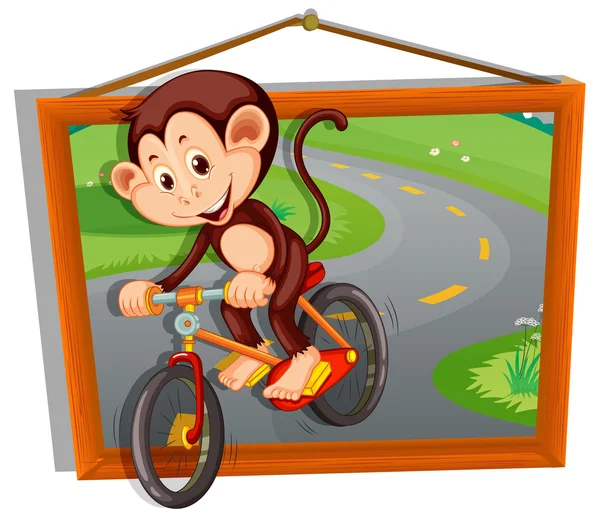 Małpa jazda rowerem na drodze — Wektor stockowy