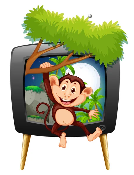 Macaco pendurado na filial na tela da tv — Vetor de Stock