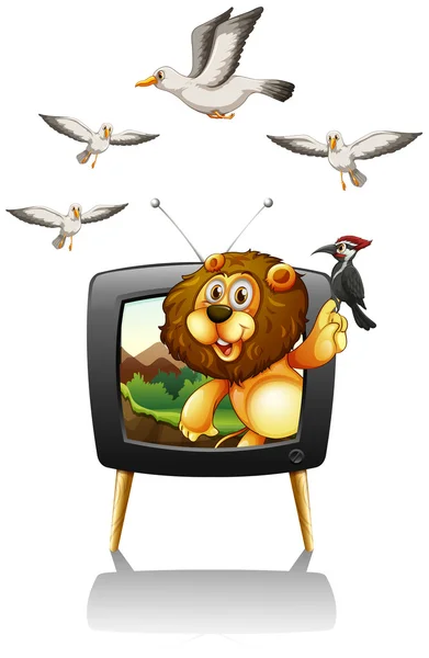 León y aves en pantalla de televisión — Vector de stock