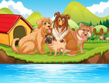 Nehir kenarında oturan köpekler