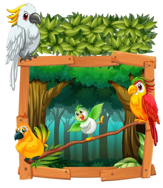 Quatre oiseaux vivant dans la jungle — Image vectorielle