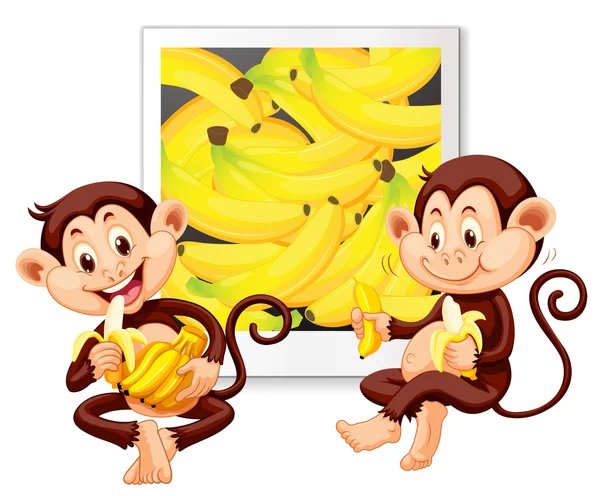 Dois macacos comendo bananas —  Vetores de Stock