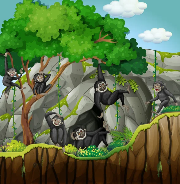 Gruppo di gibboni che si arrampicano sull'albero — Vettoriale Stock