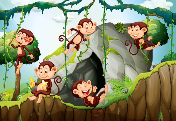 Five monkeys living in the forest — Stock Vector