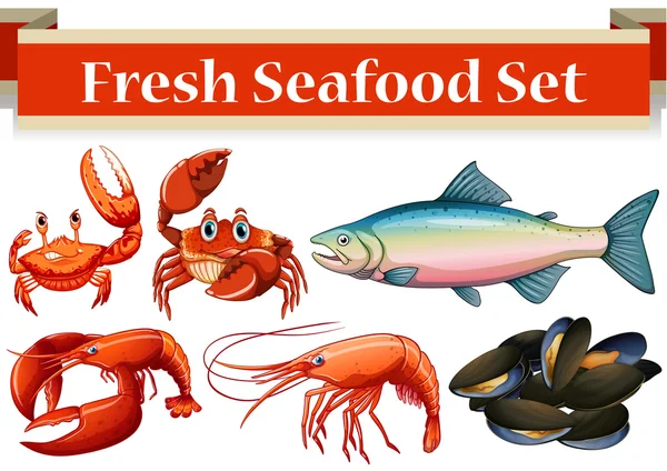 Different kind of fresh seafood — Stock Vector