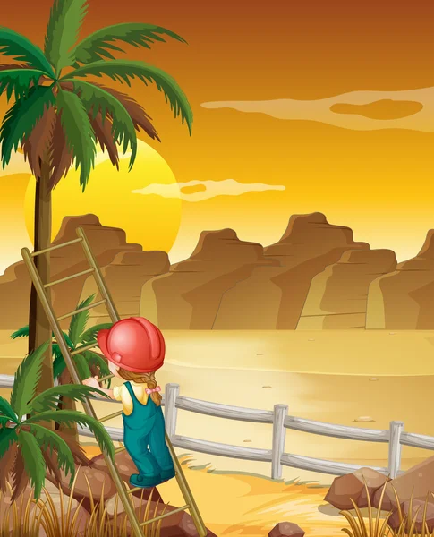 Meisje de palmboom klimmen — Stockvector