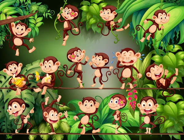 做不同的事情，在丛林中的猴子 — 图库矢量图片