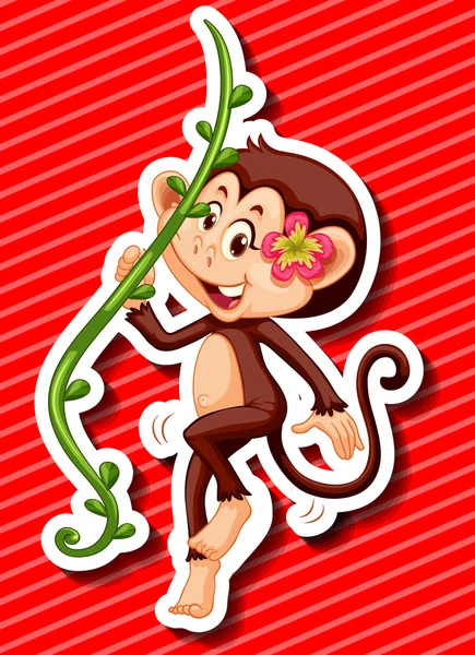 Monkey with flower hanging on the vine