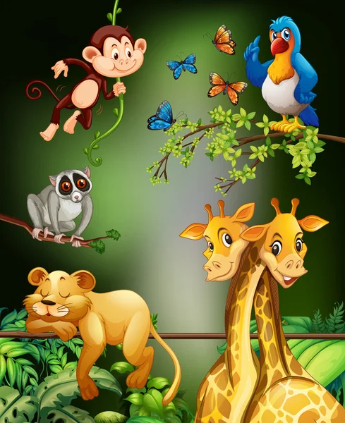 Wild animals living in the forest — Stock Vector