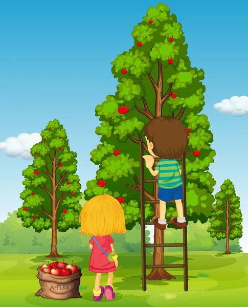 Boy and girl picking apples from the tree — Stock Vector