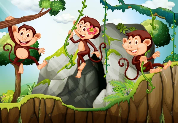 Drie apen opknoping op de tak — Stockvector
