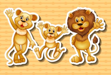 Aslan ailesi turuncu zemin üzerine