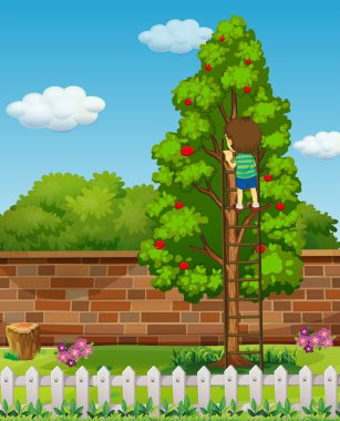 Çocuk tırmanma elma ağacı 