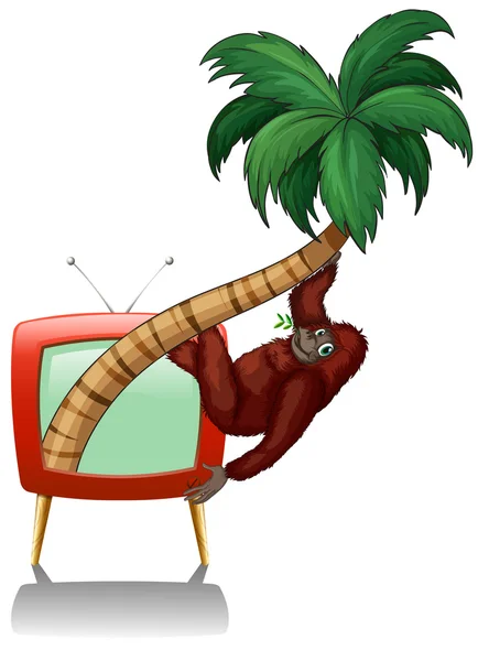 Телевизор с урангутаном на дереве — стоковый вектор