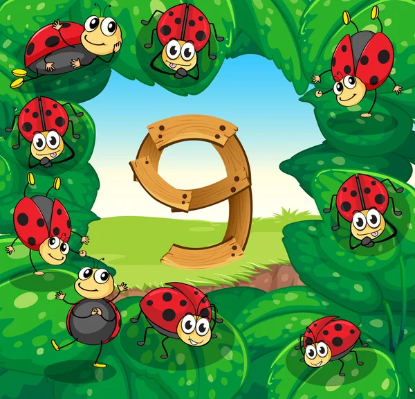Number nine with nine ladybugs on leaves — Stock Vector