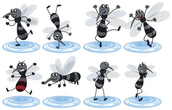 Mosquitos in different actions — Stock Vector