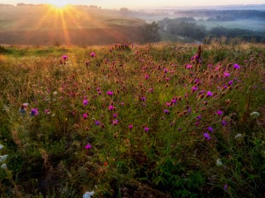 Sunrise Hills Rusya'da