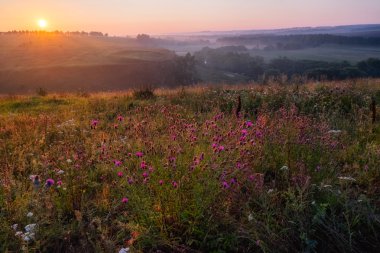 Sunrise Hills Rusya'da