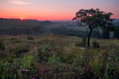 Sunrise Hills Rusya'da