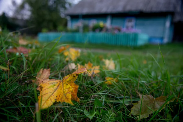 Solitude village russe avec vieilles maisons en bois — Photo