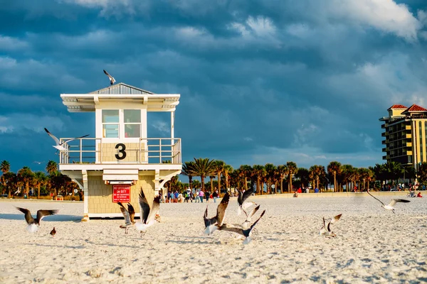 Torre di bagnino sulla spiaggia di Clearwater . — Foto Stock