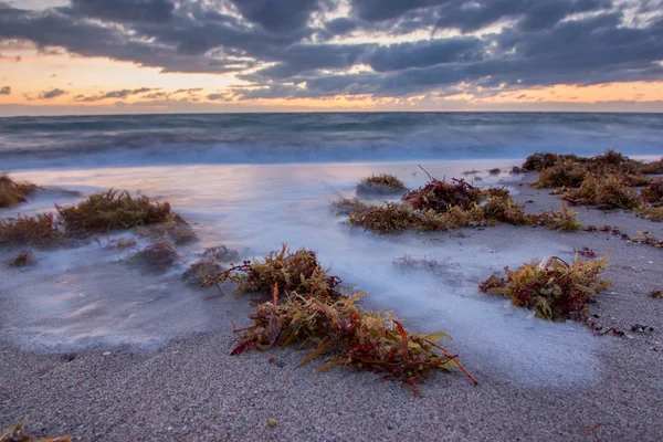 Nascer do sol sobre o Oceano Atlântico na Flórida . — Fotografia de Stock