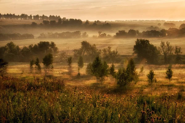 Пейзаж с туманом по утрам . — стоковое фото