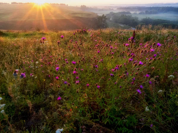 Sunrise in heuvels in Rusland — Stockfoto