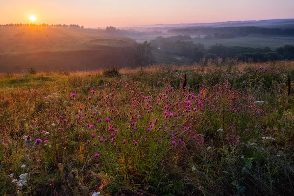 Soloppgang i fjellene i Russland – stockfoto