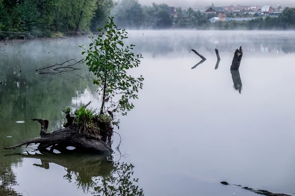 Misty morning on a small river in russia. — Stock Photo, Image