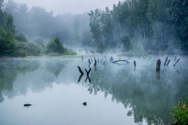 Nebliger Morgen auf einem kleinen Fluss in Russland. — Stockfoto