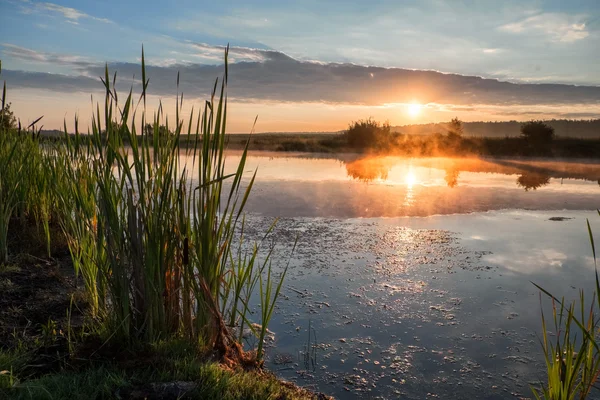 Early morning on a lake — Stock Photo, Image