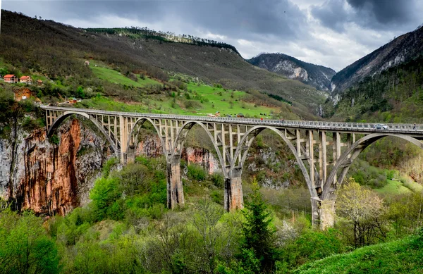 Puente sobre el cañón del río Tara . — Foto de Stock